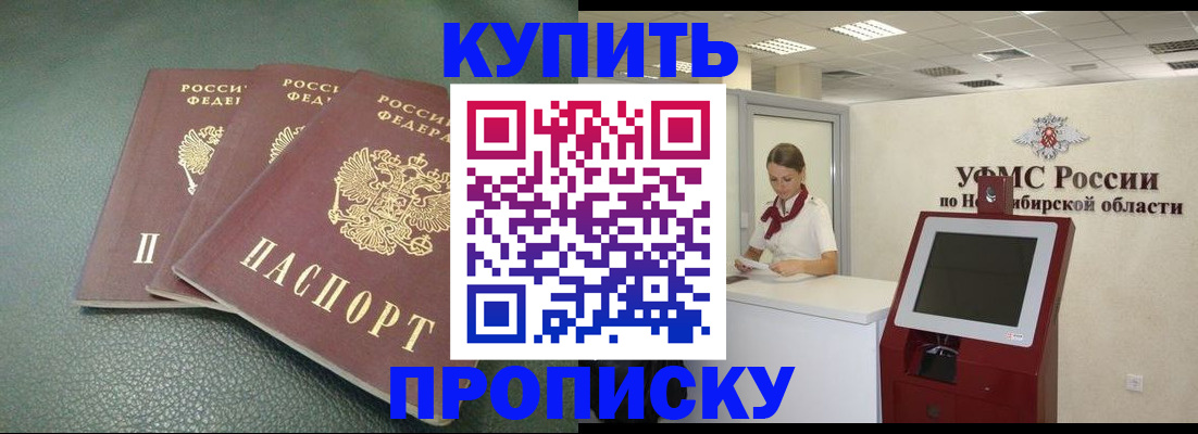 прописка поиск в Светлогорске